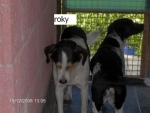roky