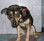 romania3