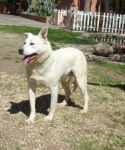 sancho2