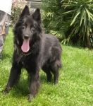 tex_1