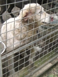 toffola11_copy