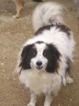 valverdina1