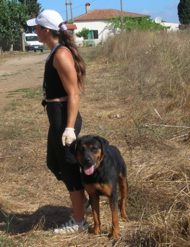 zeus_e_vanessa_pomezia
