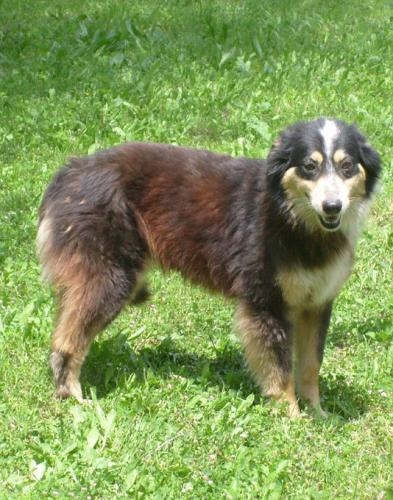 1100-08milla