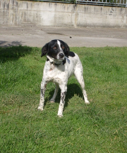 166-09_lill