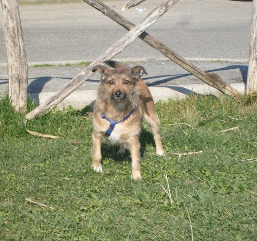 189-09_tina