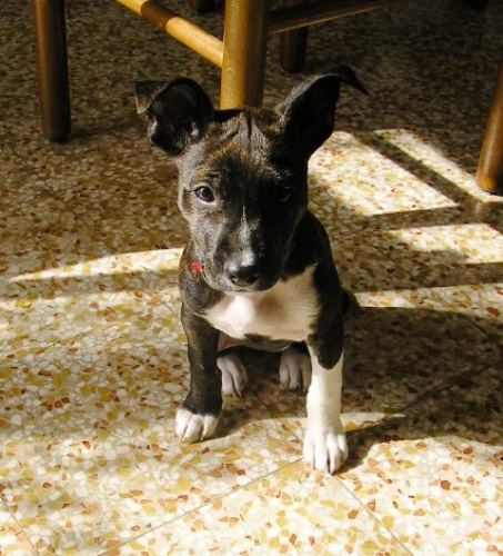 20090219_3