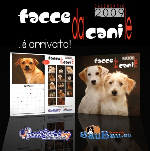 loccal2009