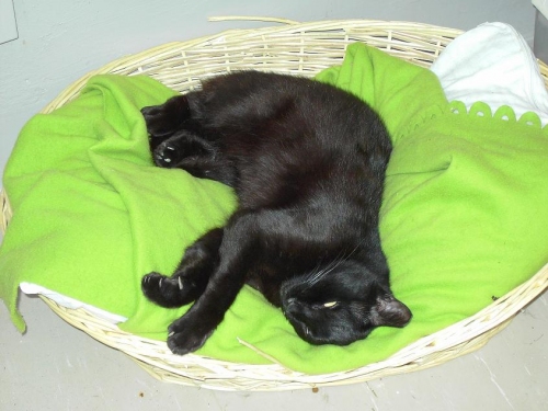 nerone_2