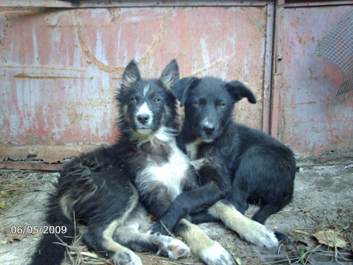 pontina_40351