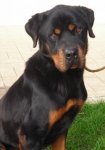 24-07fabrizio2