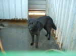 fiona-1