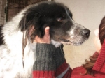 oasimarem1