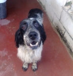 walter1