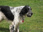 walter_061
