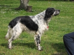 walter_062
