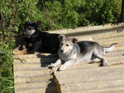 dscn3676