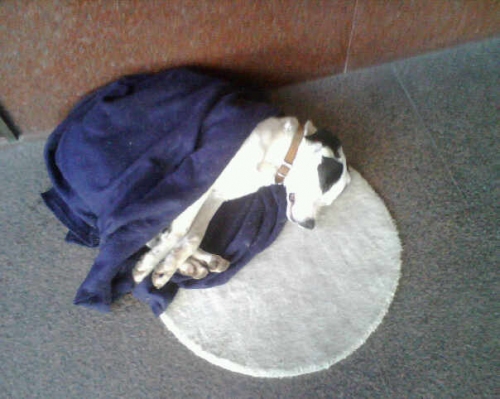 ettore_4