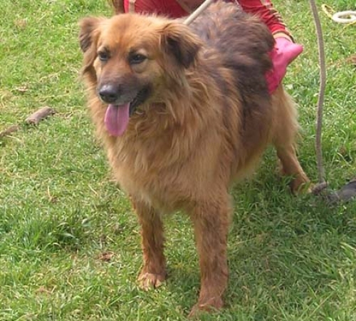 isotta_recinto_ce_angolare