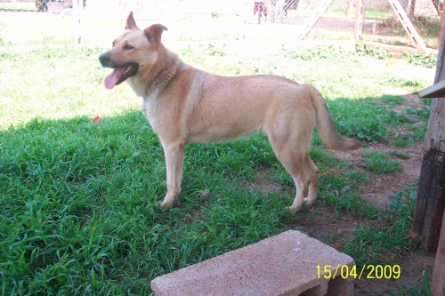lola_