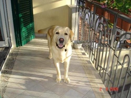 luky_005