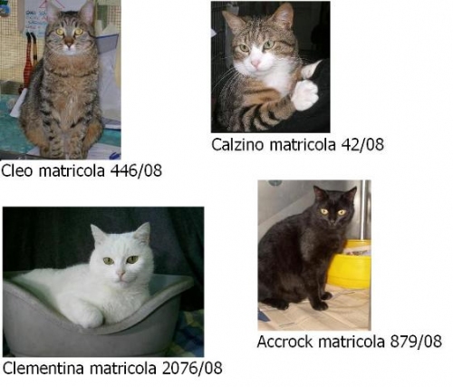 mur01_copy