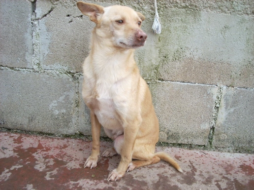 oasi_piccolo