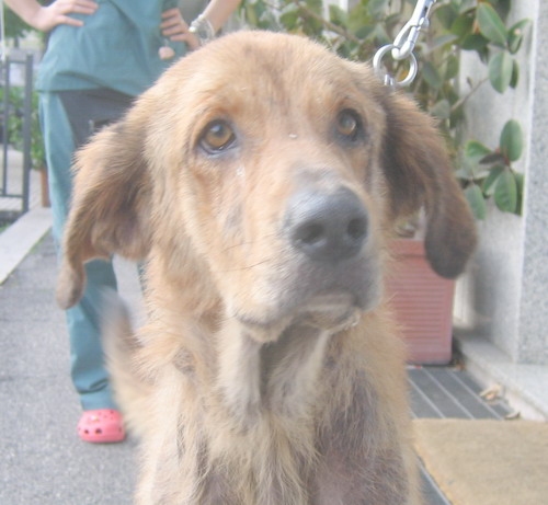 sabrina3_01_05_09