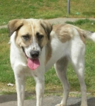 1027_081loren