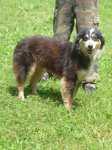 1100-08milla1