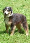 1100-08milla2