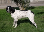 166-09_lilly