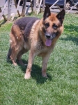 2112-07-pedro1