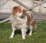 307-09_greta