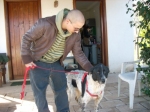 andro_int