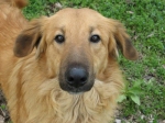 filippo