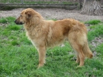 filippo_2