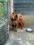 foto0074