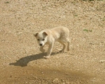 foto_3