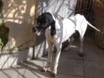 gilberto_2