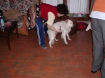 guido1