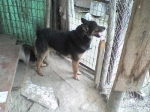 jack2