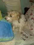 mietta2_copy