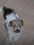 mietta3_copy