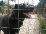 nerone5