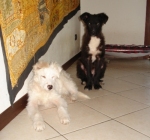 neve_e_tal