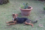 oasi_agosto2