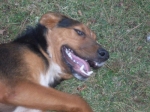 oasi_agosto3