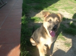oasi_rene2