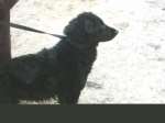 ombra_1